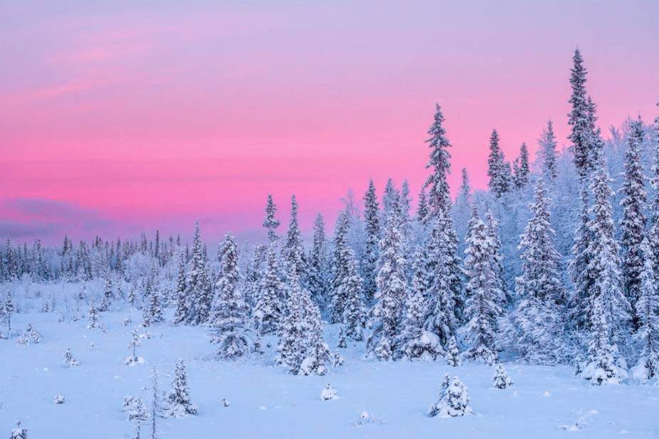 Зимняя красота в фотографиях Романа Горячего