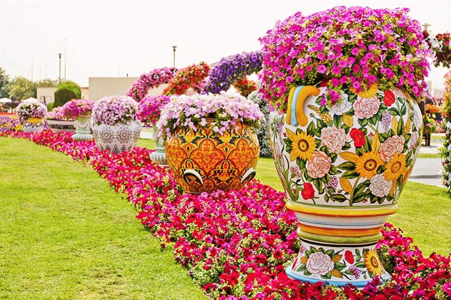 Волшебный парк цветов Dubai Miracle Garden